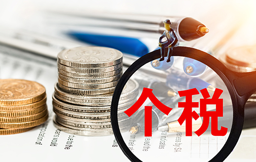公司注銷(xiāo)（一般納稅人）